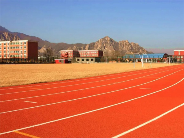黔西南布依族苗族自治州球场材料学校塑胶跑道 - 厂家